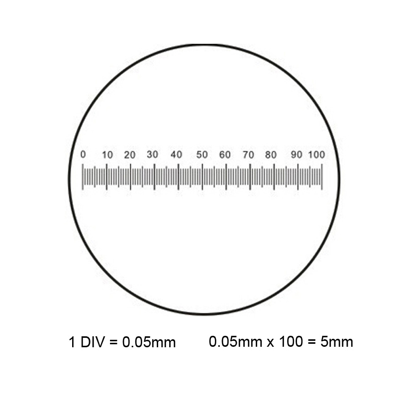 904 C4 0.05mm Ocular Graticule High Precise Microscope Ruler