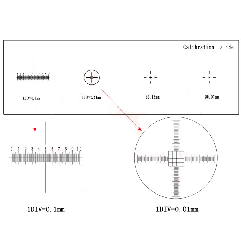 0.1mm Microscope Micrometer Cross Microscope Calibration Ruler Slides 24mm Diameter 